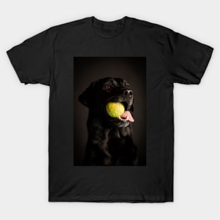 Labrador Retriever T-Shirt